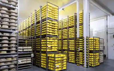 Cold Storage Infrastructure and Facilities